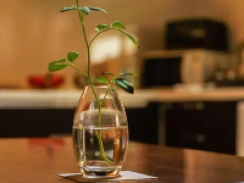 宇治・茶宿 宇治のホテル