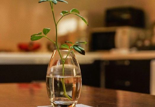 우지 티 인 외관