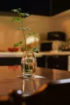 Uji Tea Inn Hotels in Уджі