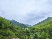 莫干山养心谷 - 山景大床房