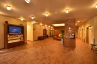 Dormy Inn Premium Otaru Natural Hot Spring