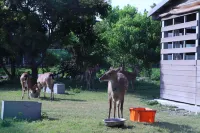 Lukang Yian B&B Hotel a Changhua
