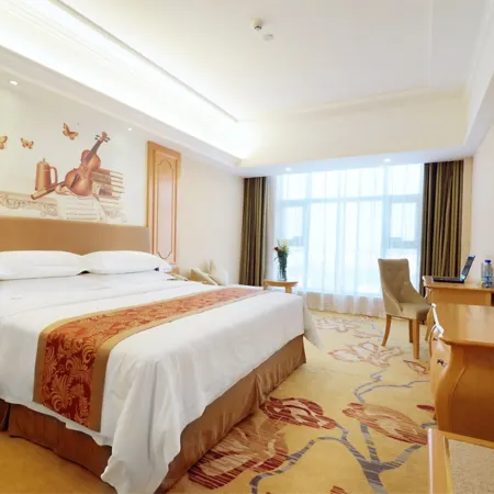 Vienna Hotel (Xinning Langshan)
