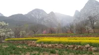 Shao Lin shi jiu ju hotel serent abode Các khách sạn gần Shaolin Monastery Wushu Academy