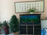 Shen County Jufude Business Hotel Hôtels à : Shenxian
