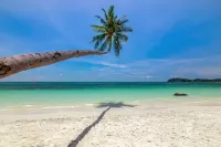 Mayang Sari Beach Resort - Merinäköala