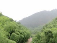 莫干山紫竹林山庄 - 其他