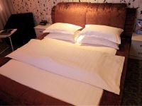 焦作龙源宾馆 - 情趣主题房-超大床型