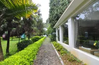 雲南省紅酒莊中国式旅館（紅河ハニ族イ族自治州東風韻小町） 東風韻半島パークカヤック基地周辺のホテル