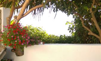 BeachFront Inn