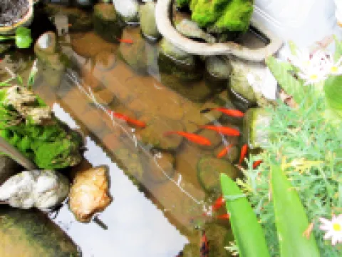 Dali Liuyue Inn (Ancient City South Gate)