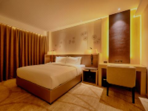 璞华酒店(郑州高铁站店) - 高级大床房