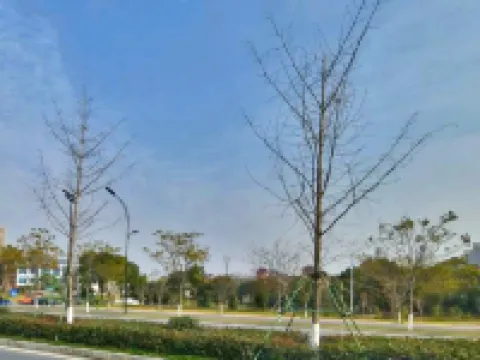 로열 팰리스 호텔 하이닝 하이닝 호텔