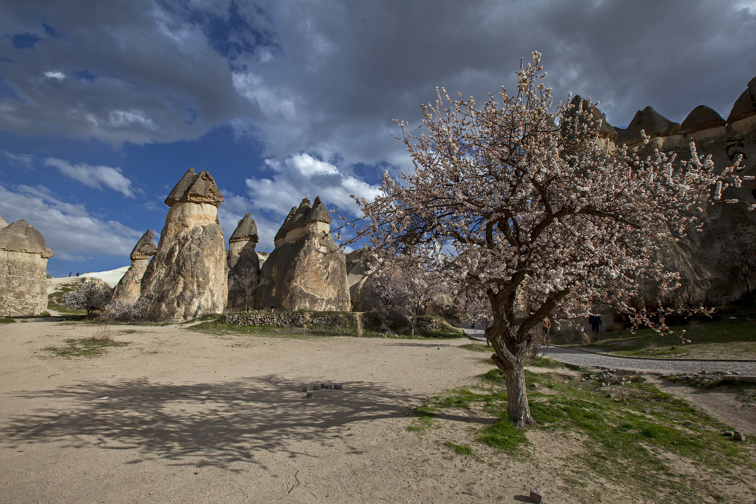 The Cappadocia Hotel