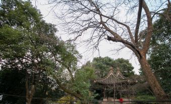 Shaoxing Dayue Xiaoyuan Culture Theme Hotel (Lu Xun's hometown Shenyuan Branch)