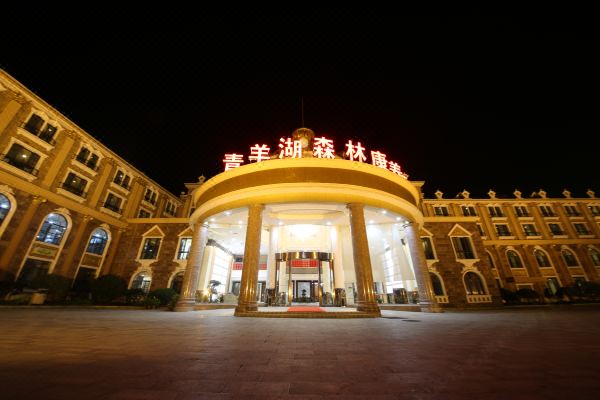 宁乡青羊湖森林康养酒店预订价格,联系电话位置地址【携程酒店】