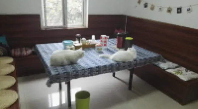 Yanwujia Youth Hostel