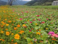 千岛湖小婷民宿