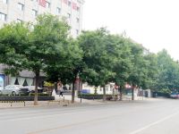星程酒店(石家庄东二环槐中路店) - 酒店附近
