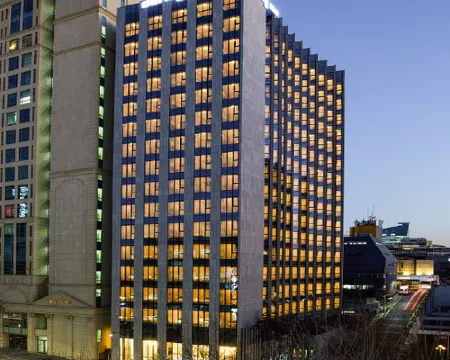 ドーミーインSEOULカンナム ソウルのホテル