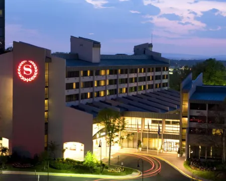 シェラトン レストン ホテル レストンのホテル