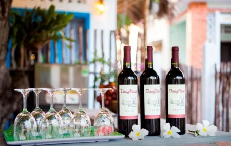 Cashew Tree Bungalow