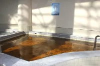 Fengcheng Hotel - vasca da bagno