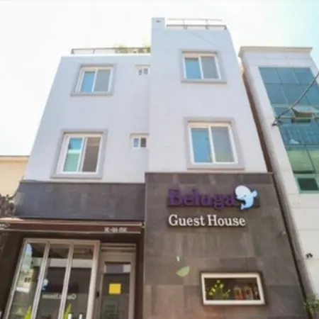 Beluga Guest House - Hostel