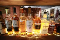 Arcadia HotSpring Hotel - bar
