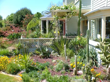 English Cherry Tree Manor Отели в г. Тамаер