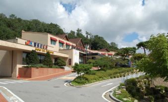 Mt. Palgong Spa Tourist Hotel