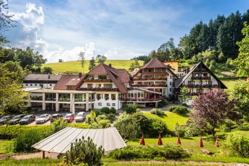 Naturparkhotel Adler Hotels in Wolfach