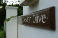 Ceylon Olive Galle