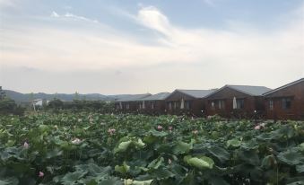 Suzhou Fengshan Yingri Ecological Wellness Farm