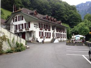 Historic Hotel Steinbock