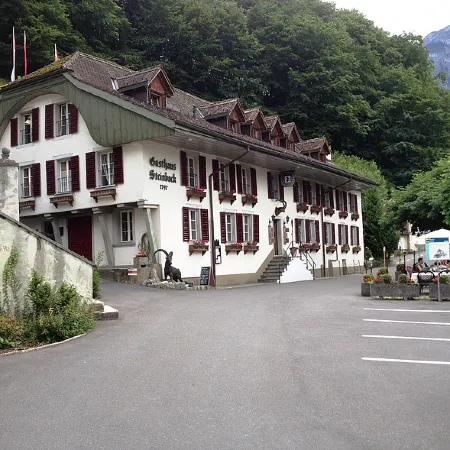 Historic Hotel Steinbock