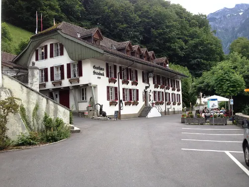 Historic Hotel Steinbock Hotels in Wilderswil