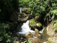 青城山景泰阁客栈 - 酒店附近