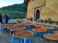 three sisters＇hotel Hotels near Tianluokeng Tulou Cluster