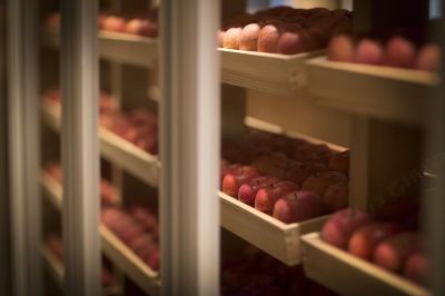 レストラン 星野リゾート 奥入瀬渓流ホテルの写真