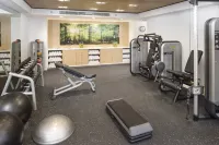 Meliá Castilla - palestra