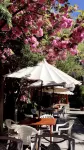 Lhasa Jiqu Hotel