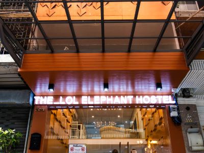 The Lol Elephant Hostel