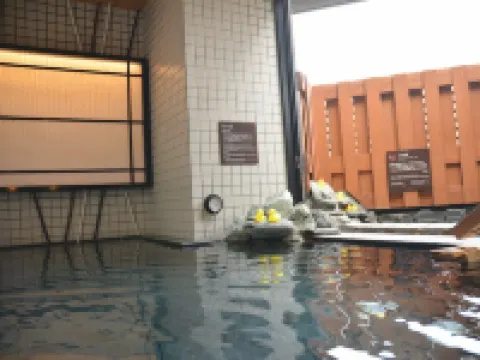 ดอร์มมี่ อินน์ อุเอโนะ โอกาชิมาจิ ฮ็อตสปริง