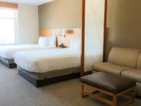 凱悅嘉軒飯店-芝加哥南大學醫學中心 加菲爾德大道捷運站附近的飯店