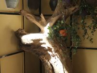 拉萨菩提树下喜度酒店 - 其他