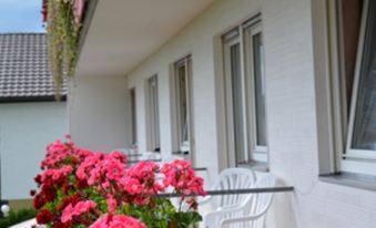 a row of white chairs and a table are lined up on a balcony , with pink flowers growing in front of them at Hoffmann