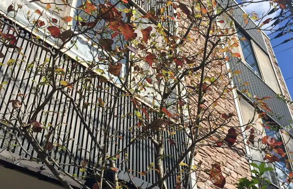 湯原温泉 我無蘭