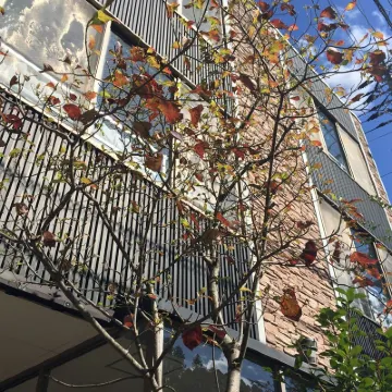 Yubara Onsen Gamelan