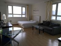 牡丹江城市杰座玫瑰公寓 - 温馨精装一室大床房